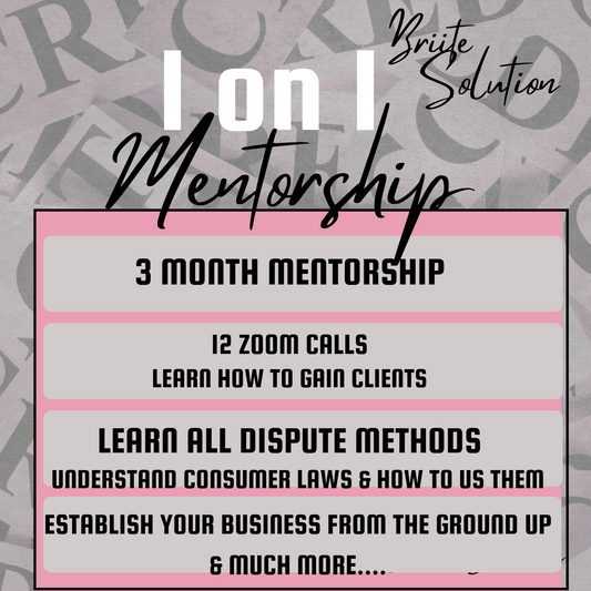 1 ON 1 MENTORSHIP